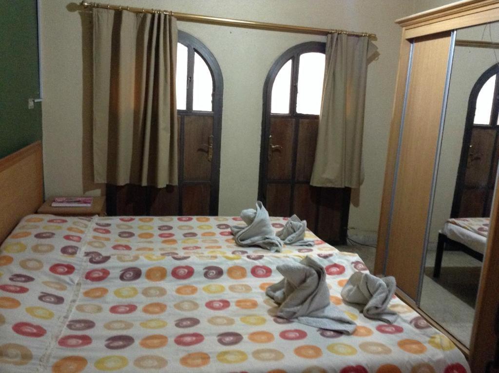 مادابا Queen Ayloa Hotel&Restaurant المظهر الخارجي الصورة